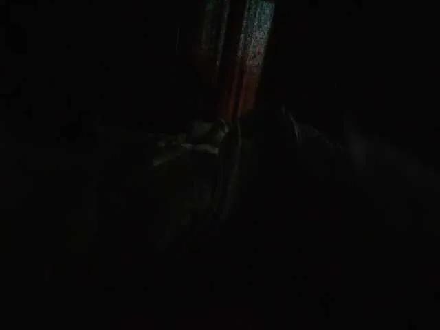 Lolik901 on BongaCams 