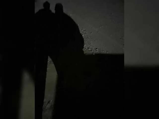 Vitaliikz's avatar