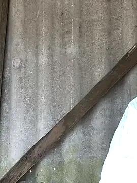 StripChat liu-liusexy is Freechat liu-liusexy — Goals for small breasts