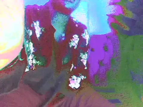 Rugare model from StripChat