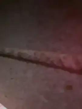 siorin_18 — ......