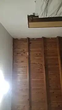 ZaraHoney —   show ass + plug anal  